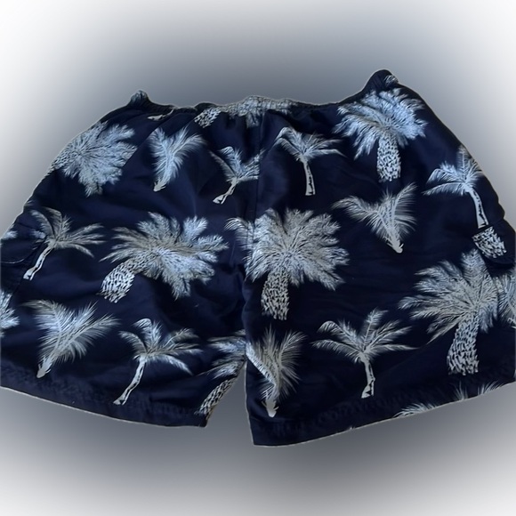 Men’s Swim Trunks - Picture 1 of 2